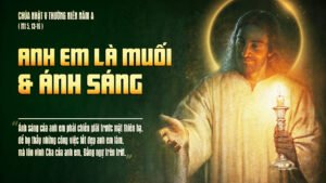 328628091_654502569782305_7812682604771972032_n