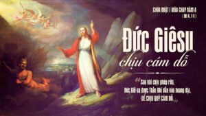 331775846_997849318066128_2967237772659489991_n