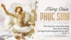 339574487_620313316583392_8138945627776633680_n