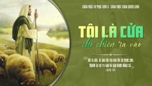 343088888_7456411677720133_5904417221822061468_n