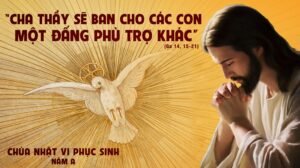 346324526_159473110191963_3359919345553912277_n