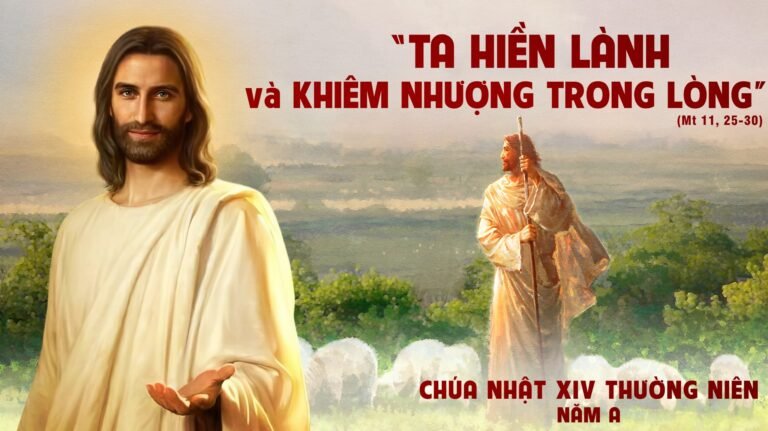 Suy niệm Lời Chúa - Chúa Nhật 14 Thường niên năm A 357566543_740540308071921_8475181696310273030_n