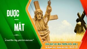 371839707_3445858752320907_7075010398725537537_n