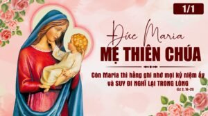 322005393_714978896817180_3230823245965315948_n