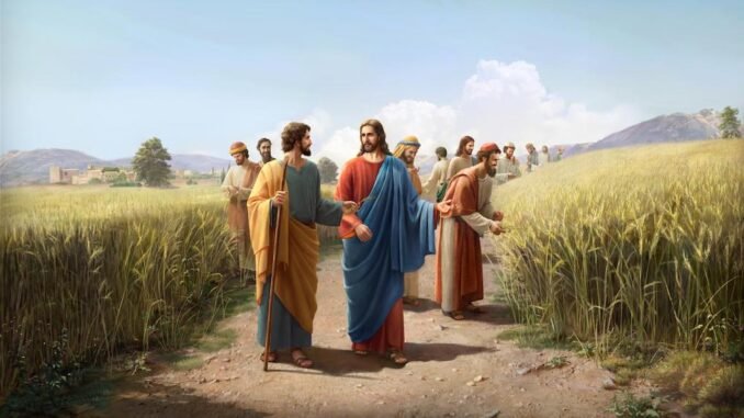 The-Son-of-Man-Is-Lord-Even-of-the-Sabbath-Day