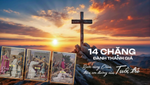 5ea5c244849a366fbf5c63024feae565@3x