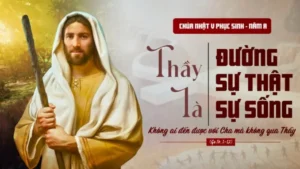 343757216_175431225085324_5845240738697809819_n-678x381