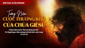 z7676969681722_72190040aa1a69f3fa40da756fc90365