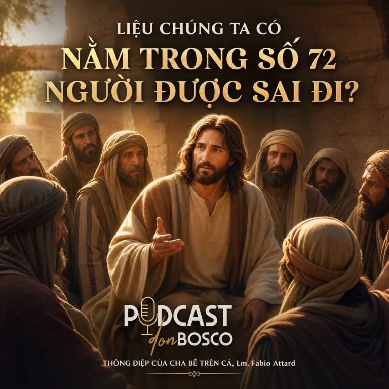 Liệu Chúng Ta Có Nằm Trong Số 72 Người Được Sai Đi? 721702816_1436439015190399_8286345224918220422_n